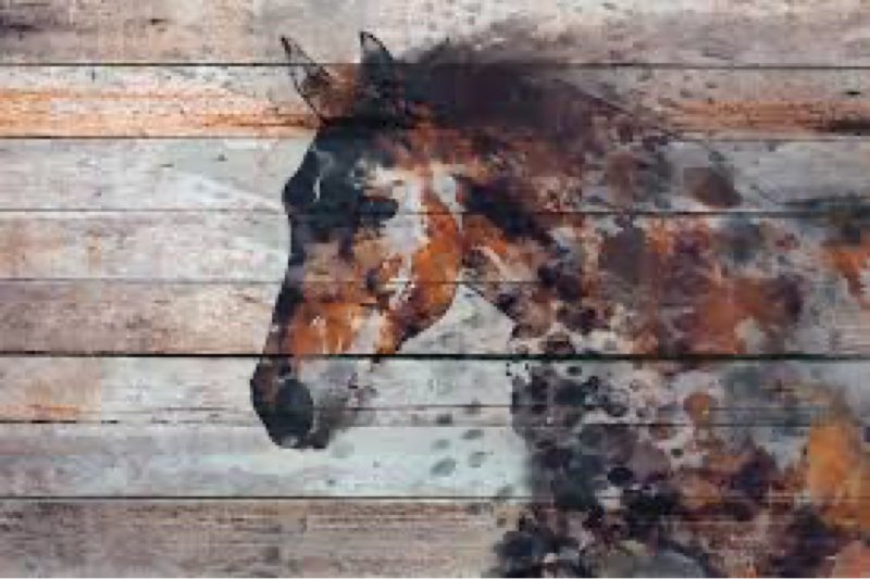 Fire horse by irene orloy