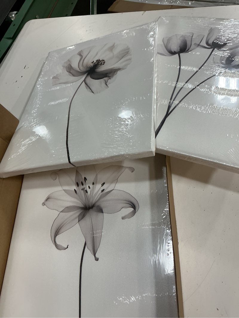 Condition photo showing New/Like New for AUUAUU 3 Pcs Modern Minimalist Floral Canvas Wall Art Framed Black White Transparent Flower Canvas Prints Wall Decor 12x16 Inch Botanical Aesthetics Posters for Kitchen Living Room Bedroom Office Floral wall decor 12x16 Inches