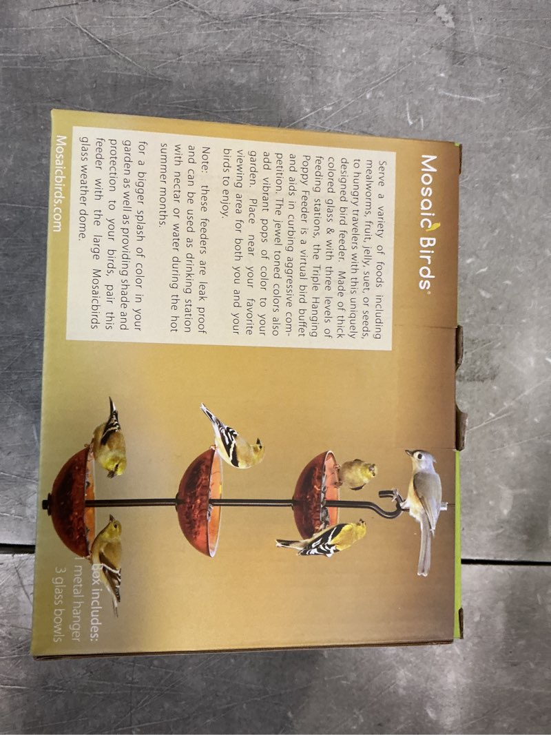 Condition photo showing New/Like New for Couronne Co Leaf Design Recycled Glass Oil or Vinegar Bottle with Pour Spout, BG5041P, 15 inches tall, 25.4 ounce