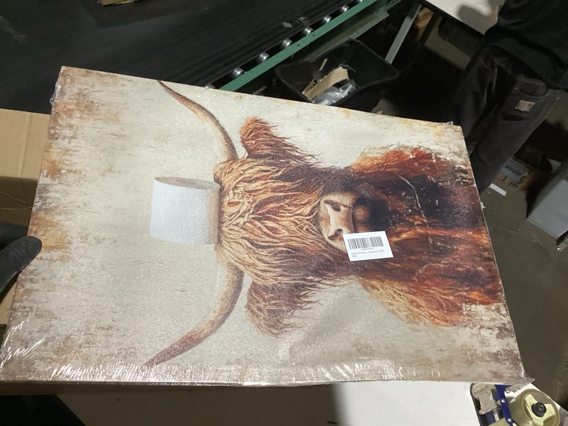 Condition photo showing Good Condition for As is Highland Cow Funny Bathroom Canvas Wall Art Rustic Brown Cute Cow Animal Painting Picture Wall Decor Vintage Farmhouse Poster Print Artwork for Bath Restroom Home Decoration FRAMED Canvas 24\"L x 16\"W