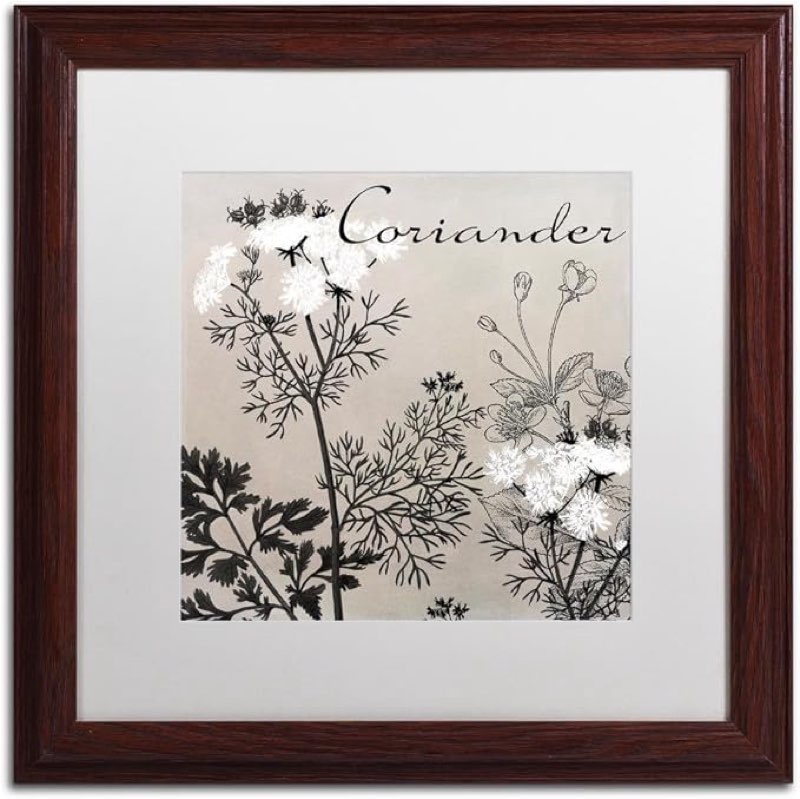 Flowering Herbs IV by Color Bakery, White Matte, Wood Frame 16x16-Inch
