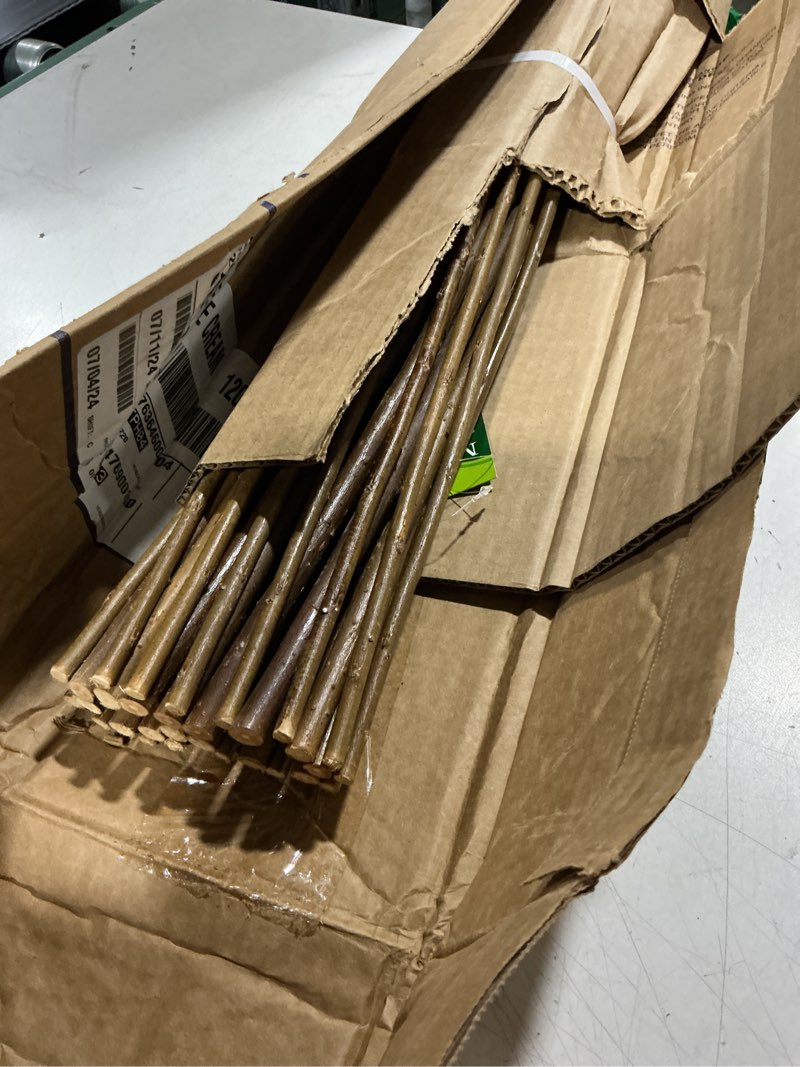 Condition photo showing Good Condition for willow funnel trellis, 36-inch
