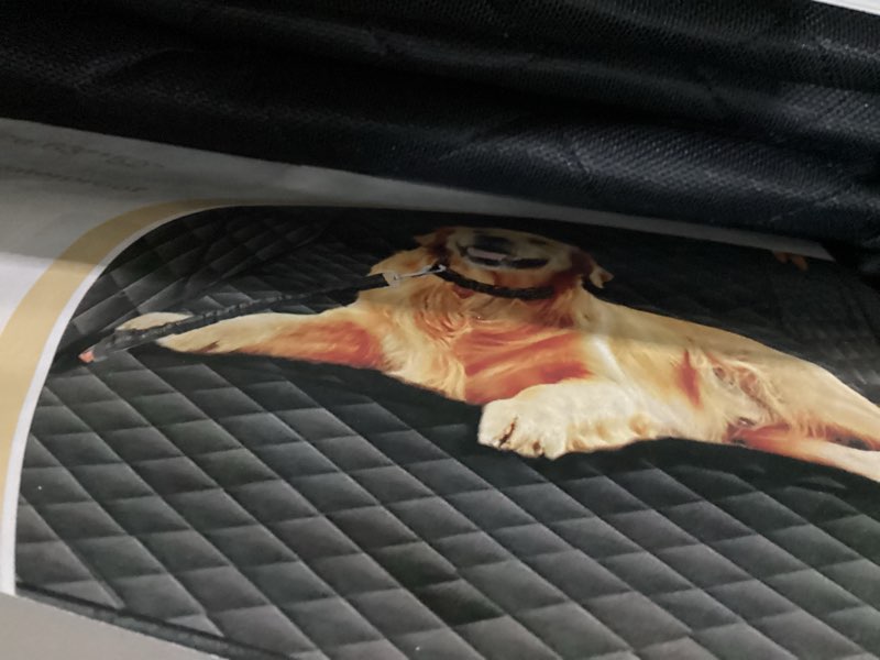 Condition photo showing New/Like New for Dog Car Seat Cover for Back Seat Anti Scratch Waterproof, Back Seat Extender for Dogs with Door Protection, Hard Bottom Holds 400LBS, Dog Hammock for Car, SUV, Truck, Crew Cab Universal 54" x 59"
