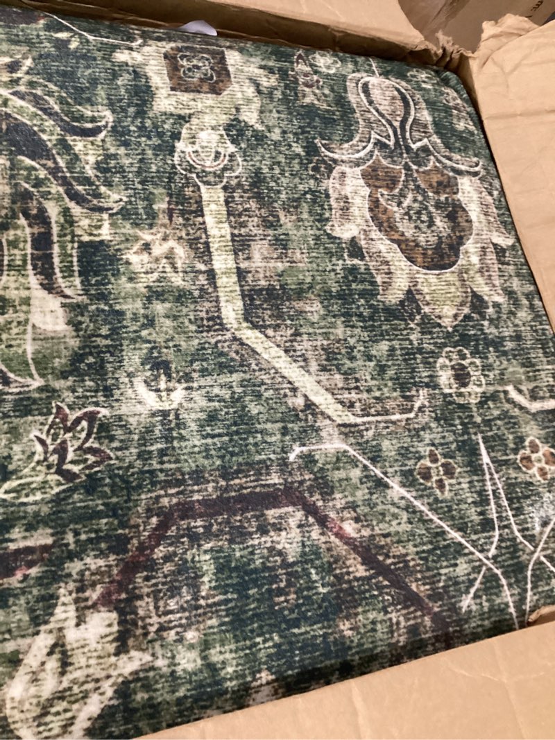 Condition photo showing Good Condition for large area rug 10x14, soft non slip low pile washable rug, boho modern area rug for living room, bedroom, dining room, sage green 10' x 14' (rectangular) a-sage green