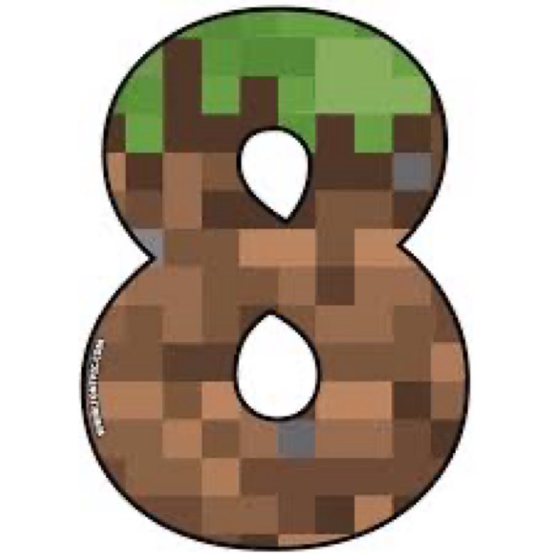 Minecraft 8