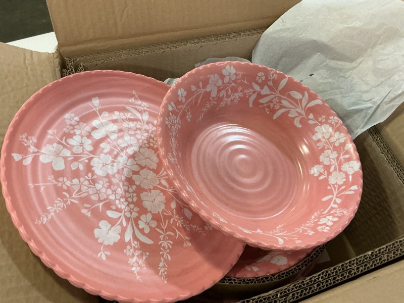 Condition photo showing Good Condition for the pioneer woman daisy 12-piece bamboo melamine dinnerware set, pink