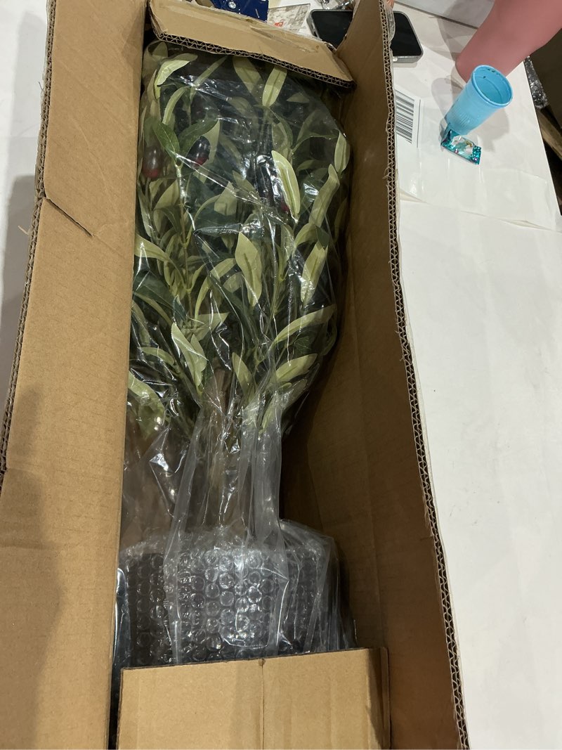 Condition photo showing Good Condition for 25.5” tall artificial topiary ball olive tree with leaves and fruits, olive boxwood topiary ball potted bushes uv resistant potted plants for garden indoor outdoor home decor 25.5 inches-1 piece