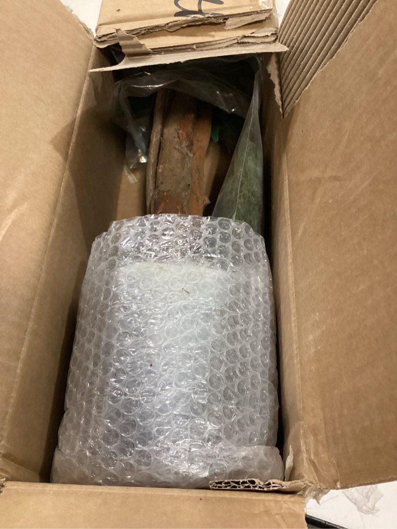 Condition photo showing Good Condition for 3ft Ficus Artificial Trees with Natural Curved Trunks, 36" Tall Lush Faux Tree for Home Decor Indoor, Green Lifelike Fake Ficus Tree Artificial Plants 1 3ft