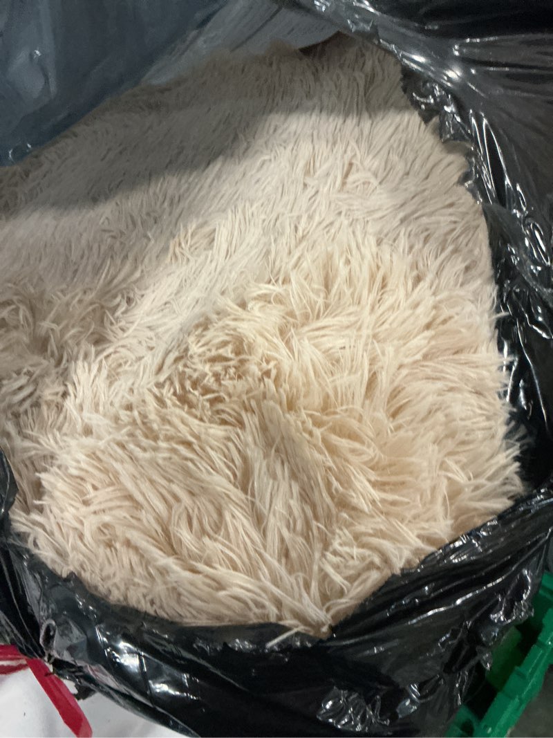 Condition photo showing Good Condition for 6x9 area rug for living room: fluffy shag soft washable rugs large fuzzy plush indoor carpet for bedroom nursery playroom kids girls boys room (camel, 6'x9') camel 6' x 9' (rectangular)