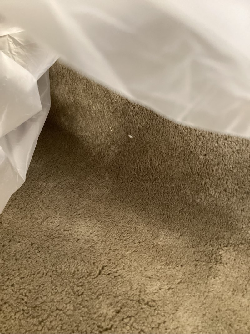 Condition photo showing As Is for pure era runner rug for hallway 2 x 6 feet, non slip hallway runner with self adhesive backing, washable carpet runner ultra plush for bedroom living room kitchen area rugs reusable cream gray cream gray 2 x 6 feet (runner)