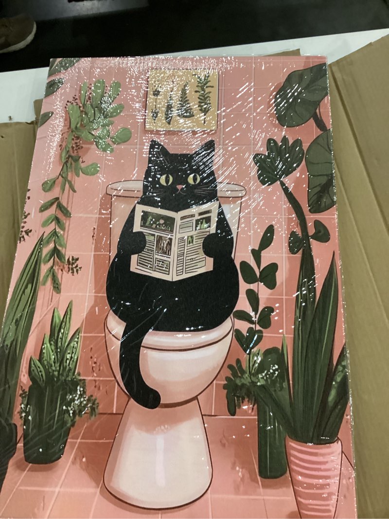 Condition photo showing New/Like New for Generic 2 Pcs Funny Pink Cat Canvas Wall Art, Black Cat Sitting on Toilet Reading Newspaper, Bathroo