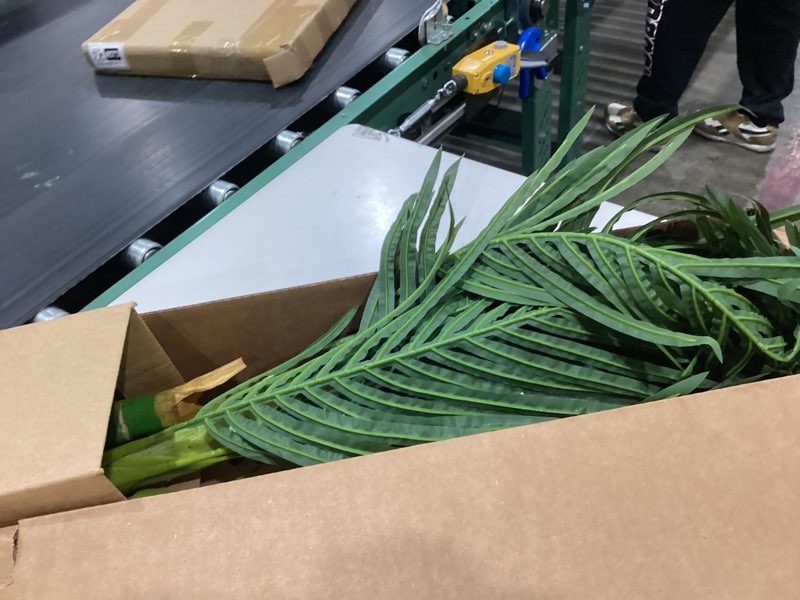 Condition photo showing Good Condition for https://www.amazon.com/artificial-indoor-outdoor-decoration-lutescens/dp/b09wb394l2#:~:text=trees,lutescens%20plants%20in