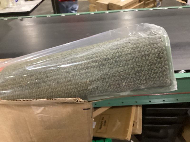 Condition photo showing New/Like New for BEQHAUSE Dirt Trapper Door Mat 36" x 60", Non-Slip Washable Doormats Entrance Mat, Dirt Resistant and Absorbent Welcome Mat, Low Profile Floor Mats for Front Back Door and Entryway, Green Green 3' x 5' (Rectangular)
