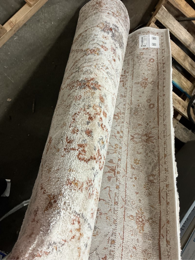Condition photo showing As Is for allen + roth with stainmaster camille border 5 x 8 (ft) beige indoor floral/botanical area rug