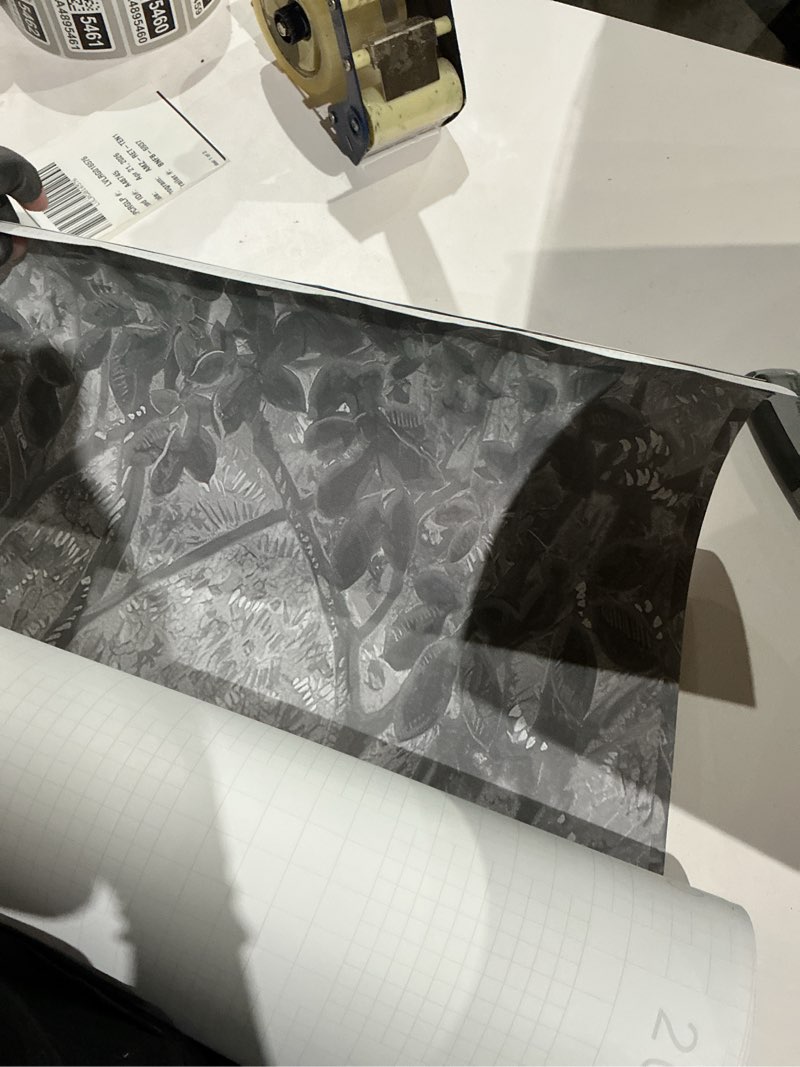 Condition photo showing As Is for black & white forest wallpaper mural