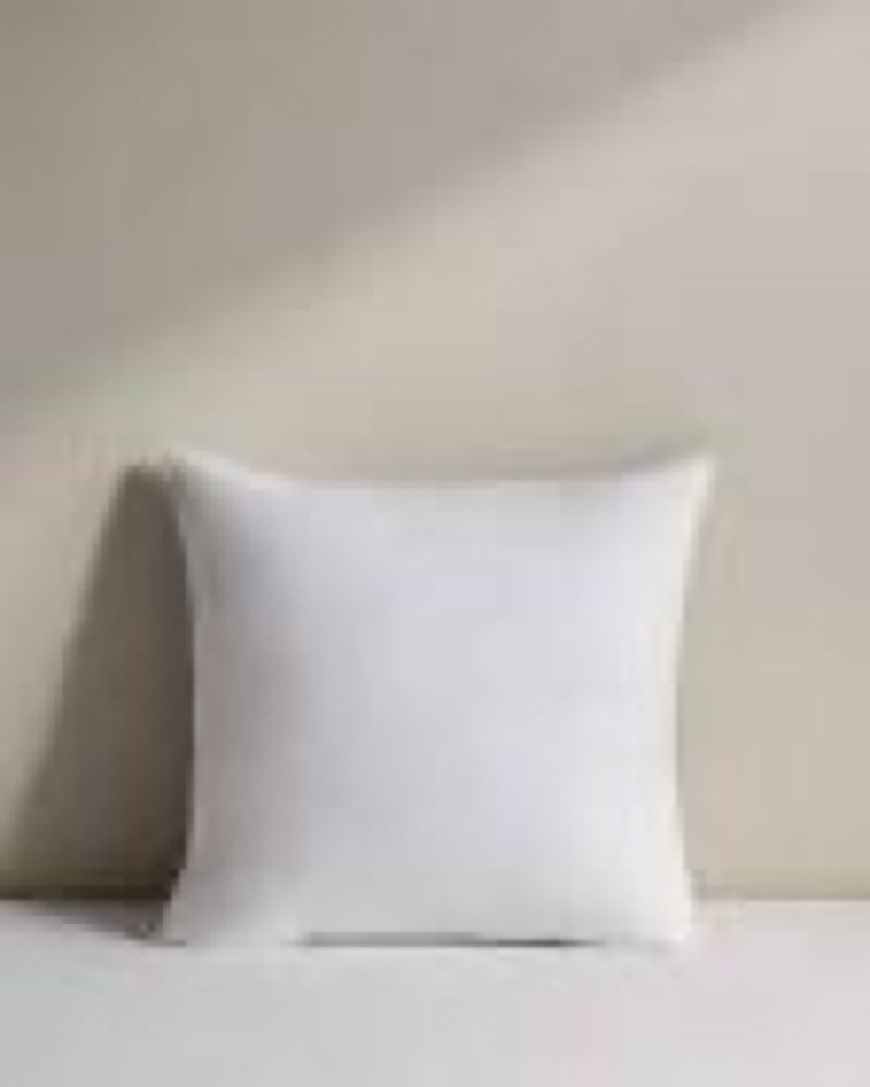 quince  premium feather pillow insert 22inx22in