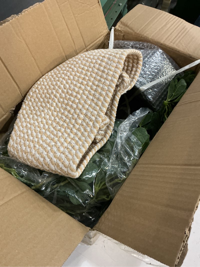 Condition photo showing Good Condition for Artificial Black Olive Tree 6FT, Fake Potted Tree for Indoor Outdoor, Lifelike Faux Floor Plants with Moss Topper and Cotton Basket, Home Office Living Room Bedroom Doorway Hallway Decor Black Olive 1