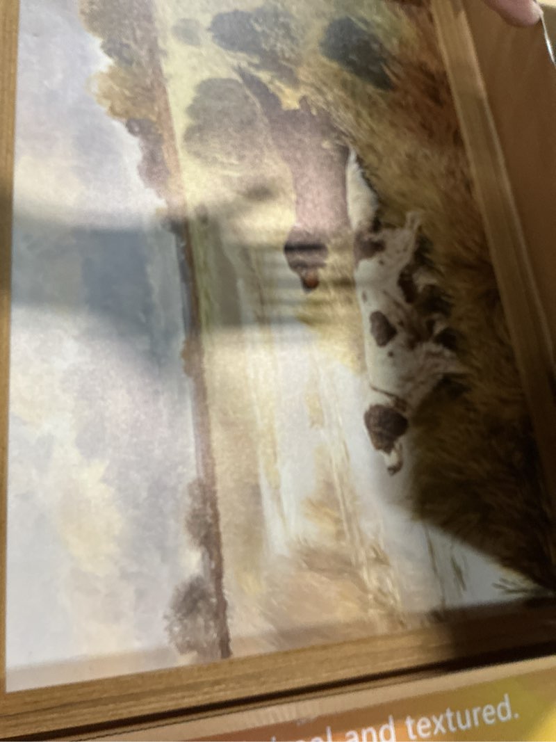 Condition photo showing Good Condition for wood framed vintage dog wall art, retro country hunting dog animal canvas wall decor paintings, antique rustic farmhouse river landscape posters prints pictures for living room gallery 16x24 inch dog framed 24"l x 16"w