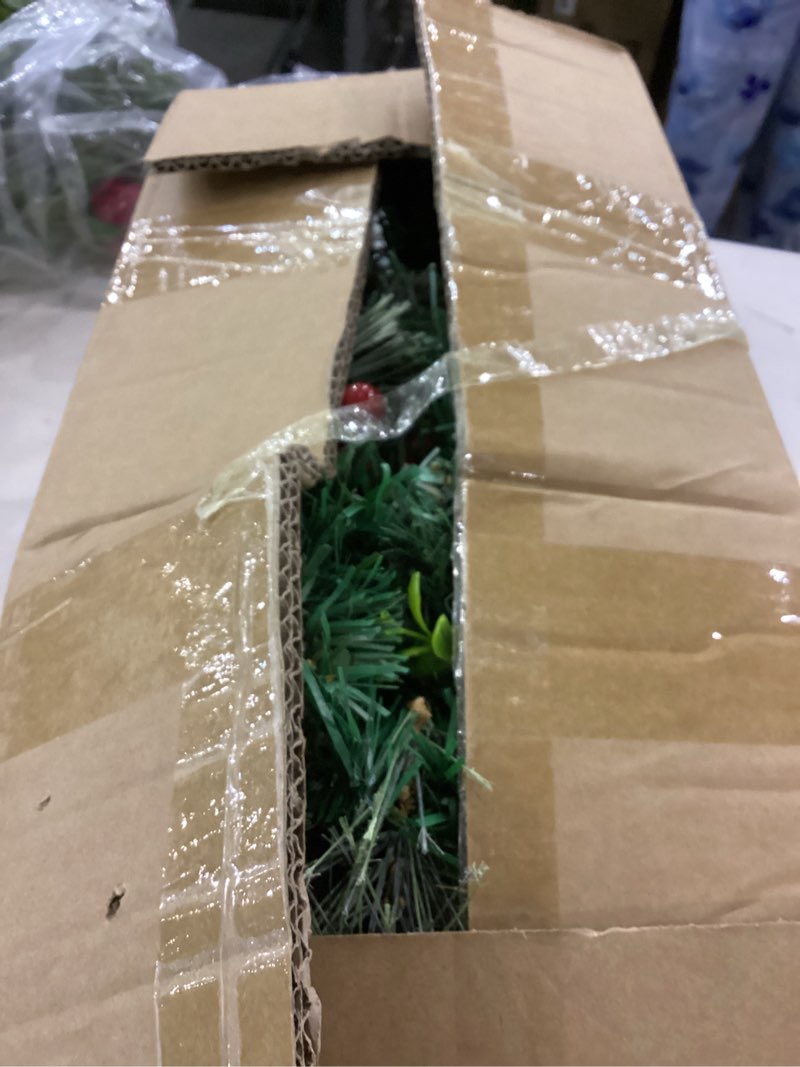 Pathway porch christmas trees