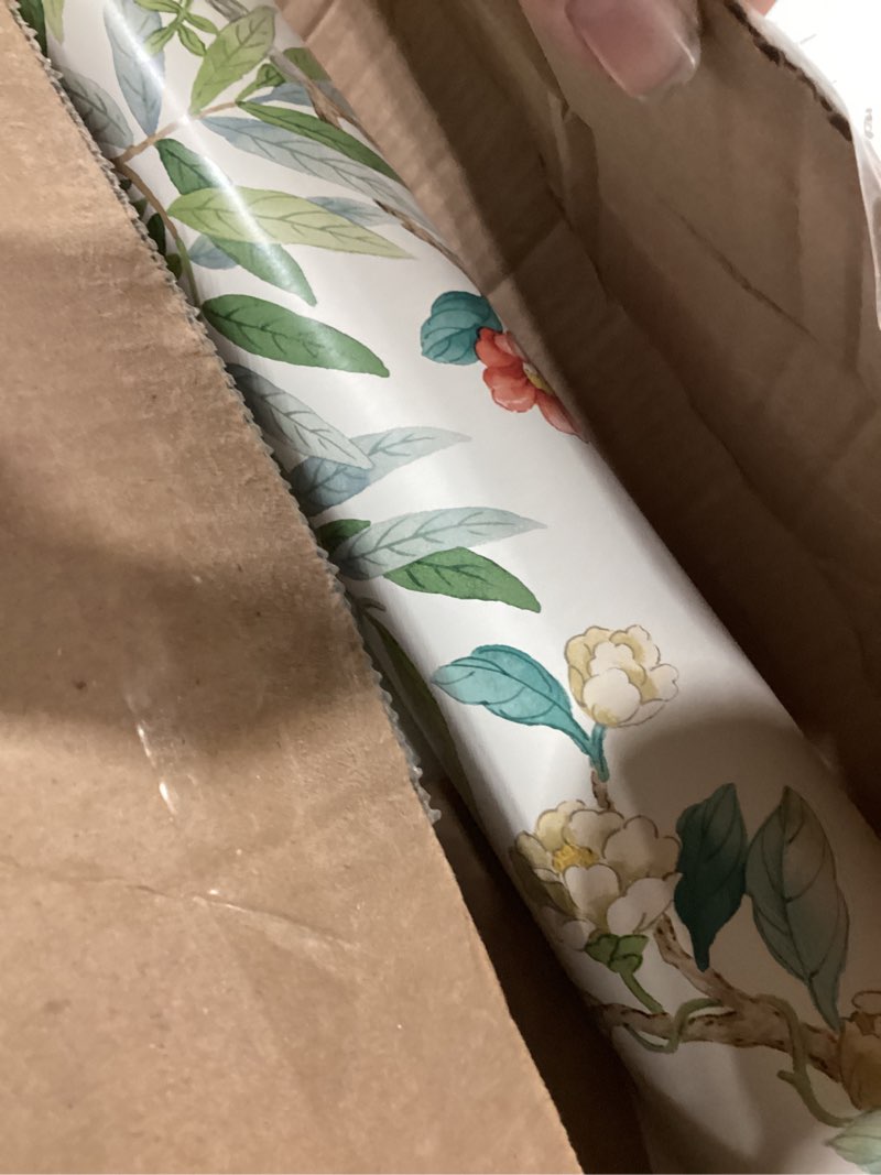 Condition photo showing Good Condition for Surface Style - Peel and Stick Wallpaper, Floral Wallpaper for Bedroom, Powder Room, Kitchen, Self Adhesive, Vinyl, 30.75 Sq Ft Coverage (Travel Diary Collection, Chiffon)