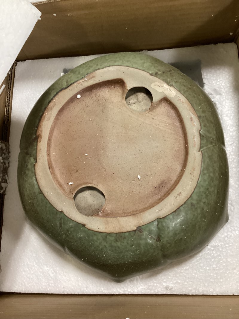 Condition photo showing As Is for large ceramic bird bath bowl only, 10" shallow ground bird bath, handmade ceramic birdbath bowl for outdoors, wildlife water bowl for outside, garden, tabletop, balcony and lawn shallow 9.8x3