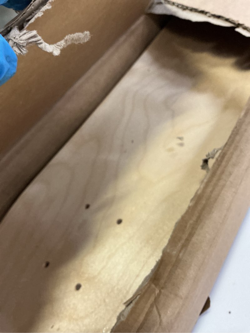 Condition photo showing Good Condition for twodays stockholm style skateboard wall decor - modern wall mount art set for men's apartment & dorm, cool cheetah print skate deck, trendy skater room design (set of 3)