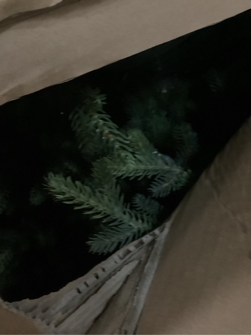 Condition photo showing Good Condition for Puleo International 9 Foot Pre-Lit Slim Balsam Fir Artificial Christmas Tree with 800 Clear Lights artificial tree