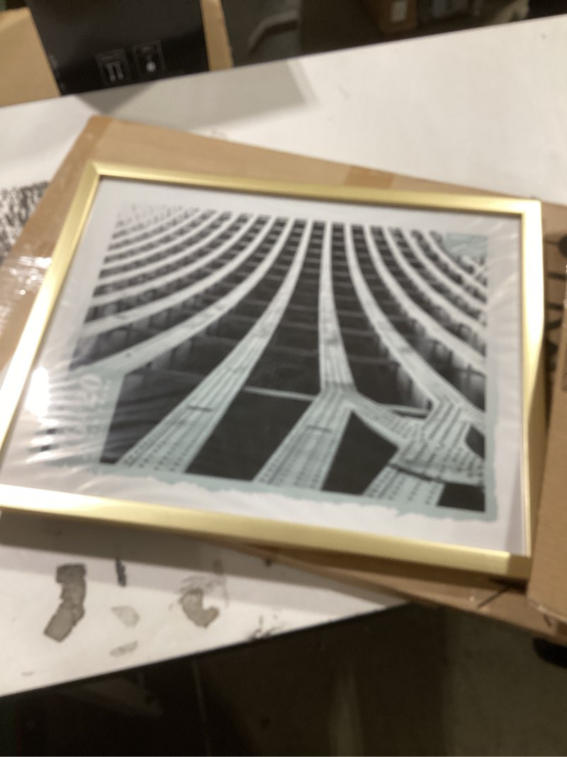 Condition photo showing Good Condition for MCS Foundation 16x20 Poster Frame Traditional Brass, Vertical & Horizontal Wall Hanging Large Picture Frame for Photos, Posters & Art Prints (1-Pack) 1-Pack Brass 16x20
