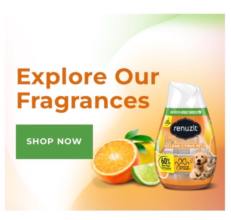 Renuzit clean citrus pet