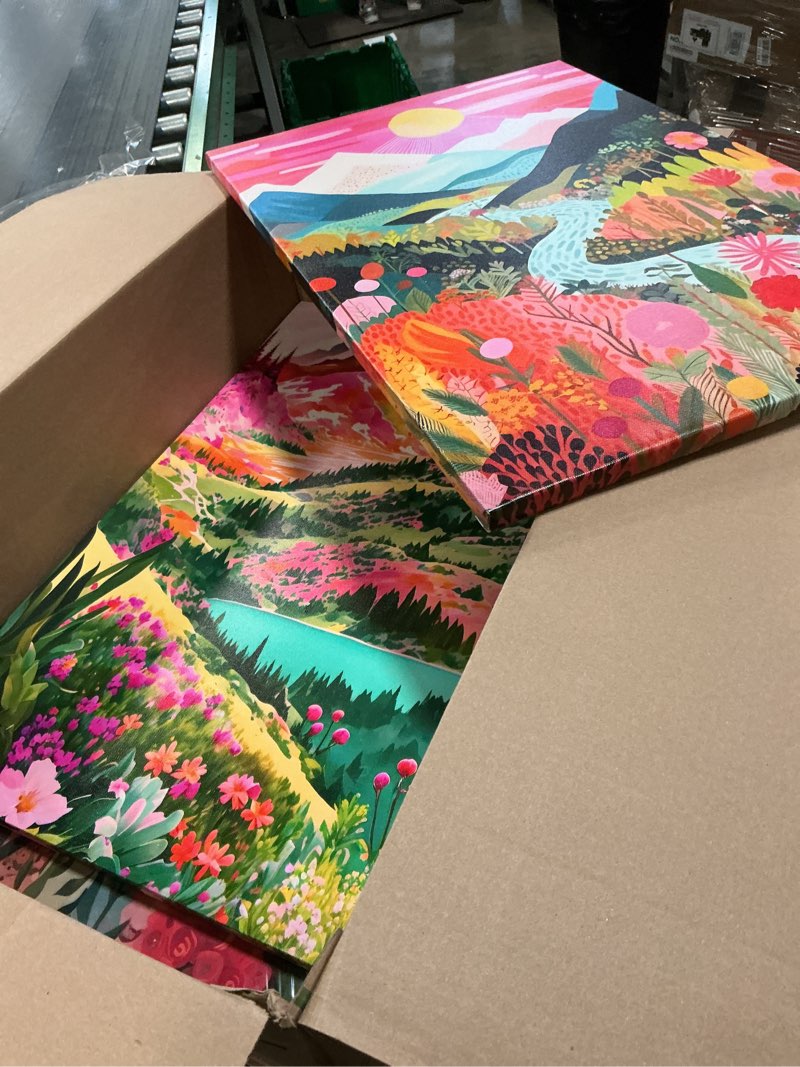 Condition photo showing Good Condition for DUWQU 3 Piece Colorful Watercolor Mountain Canvas Wall Art Boho Floral Painting Picture Wall Decor Abstract Nature Landscape Poster Print Artwork for Living Room Bedroom Bathroom Office 16x24 Inches 24"L x 16"W Colored