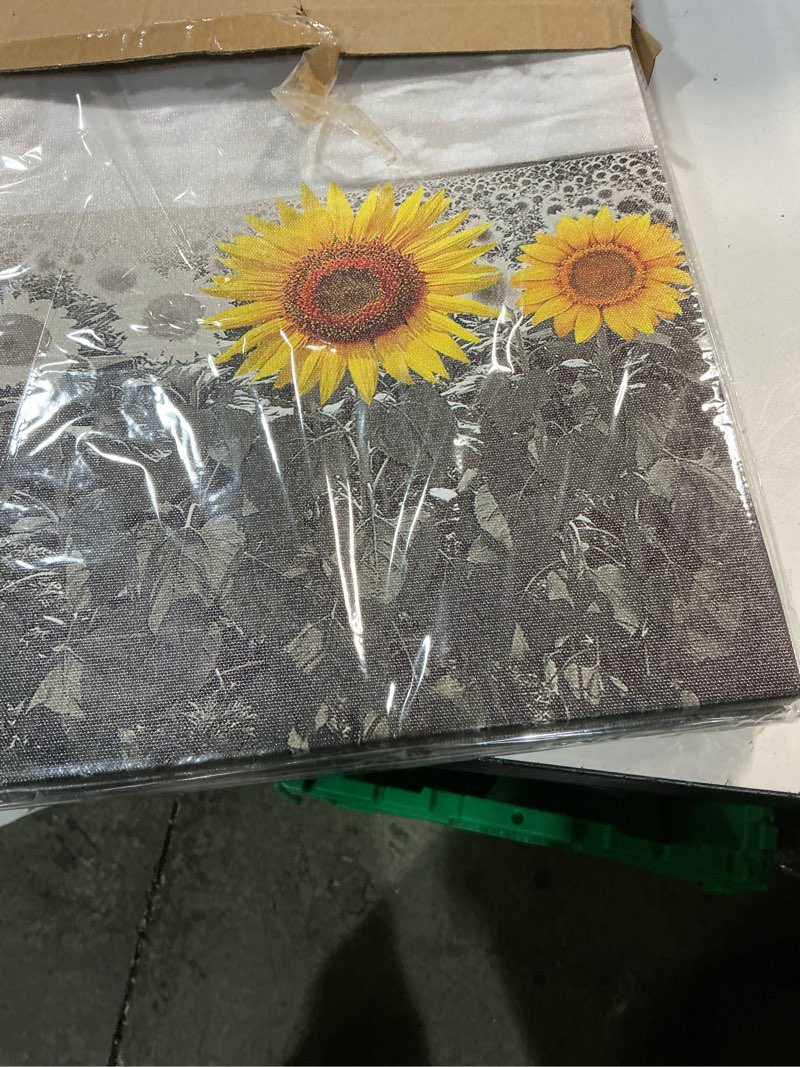 Condition photo showing New/Like New for Canvas Wall Art For Living Room Family Wall Decor For Kitchen Black And White Pastoral Scenery Sunflower Flowers Bedroom Wall Painting Art Home Decoration Bathroom Wall Pictures Artwork 16x12 3 Piece