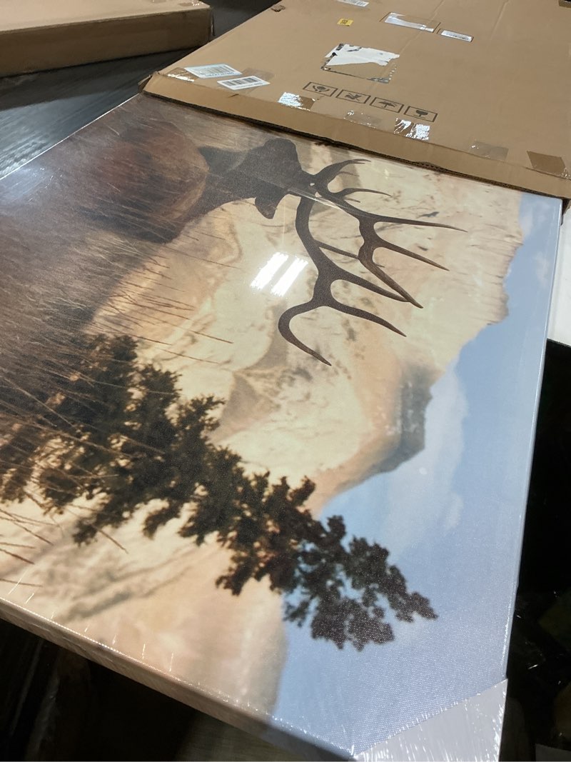 Condition photo showing Good Condition for vvovv wall decor wildlife animal painting deer elk wall art canvas prints autumn forest landscape picture stretched framed modern home decor for bedroom ready to hang - 24x48 inches