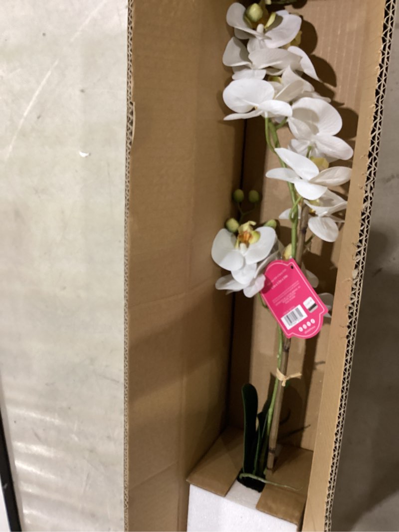 Condition photo showing Good Condition for dolly parton white artificial orchid in pink ceramic pot, 9.8x5.5x24 inch