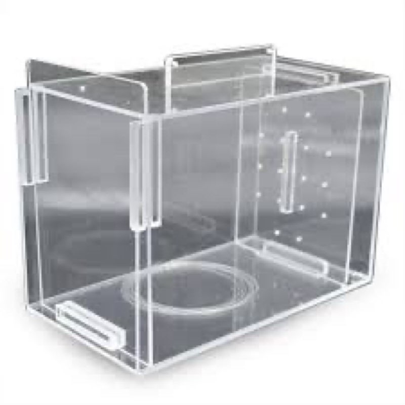 Large Fish Trap for Aquariums/Acclimation Box