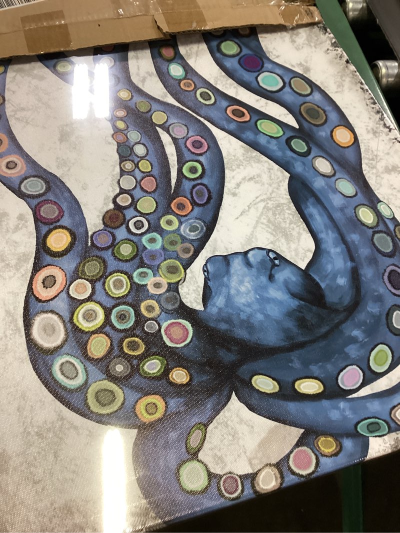 Condition photo showing Good Condition for iknow foto vertical canvas wall art abstract grey and blue octopus painting printed on canvas sea life picture poster gallery wrap vintage farmhouse home décor ready to hang 20x40 inches