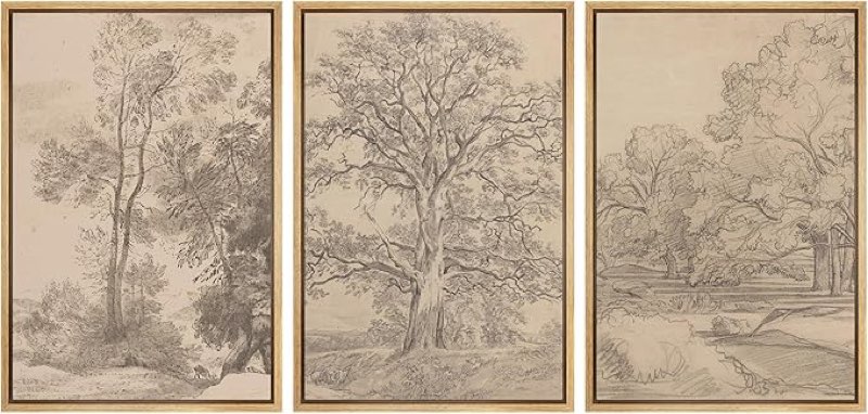  ashbrook framed canvas print wall art set retro vintage sketchbook forest country landscape farmhouse decor nature wilderness illustrations floral botanical retro for bedroom - 24\"x36\"x3 natural