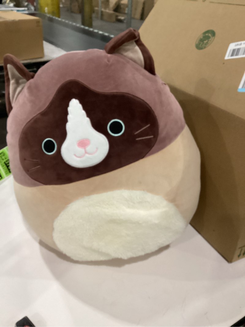 Condition photo showing New/Like New for Squishmallows Original 16-Inch Woodward Snowshoe Cat with Fuzzy Belly - Official Jazwares Large Plush