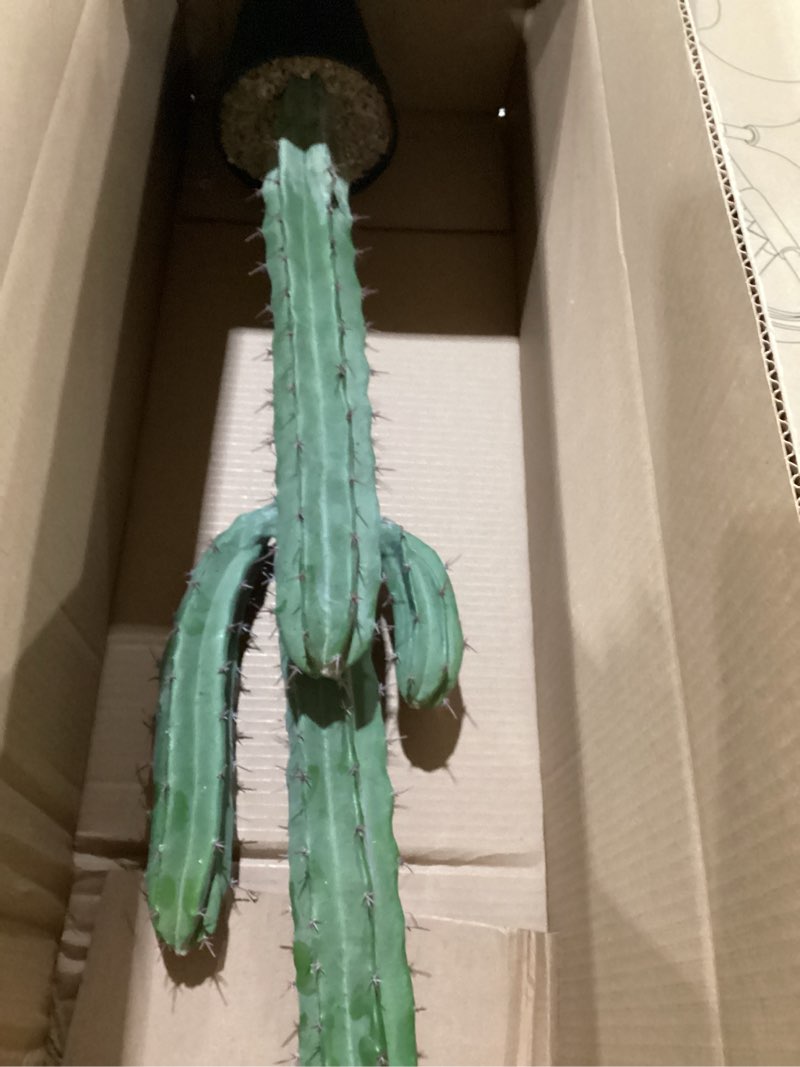 Condition photo showing Good Condition for artificial cactus fake big cactus 36 inch faux cacti plants for home garden office store decoration