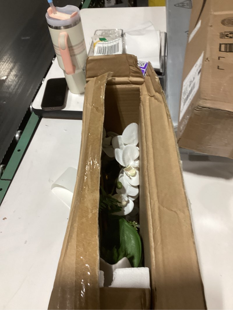 Condition photo showing Good Condition for Briful Orchid Artificial Flowers 18in White Fake Orchid Silk Flowers with Ceramic Pot Faux Orchid Arrangement for Home Office Room Coffee Table Centerpiece Modern Decoration White#1