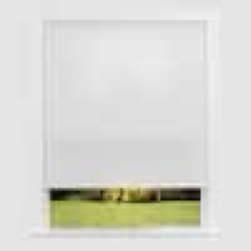 No Tools Easy Lift Trim-at-Home Cordless Cellular Light Filtering Fabric Shade White