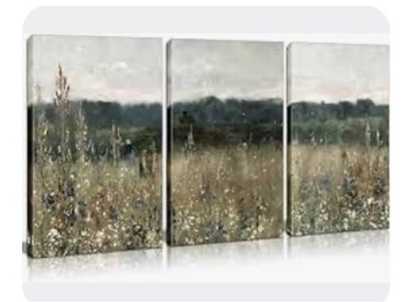 3pcs Framed Canvas Print Flower Wall Art Vintage 16”x24”
