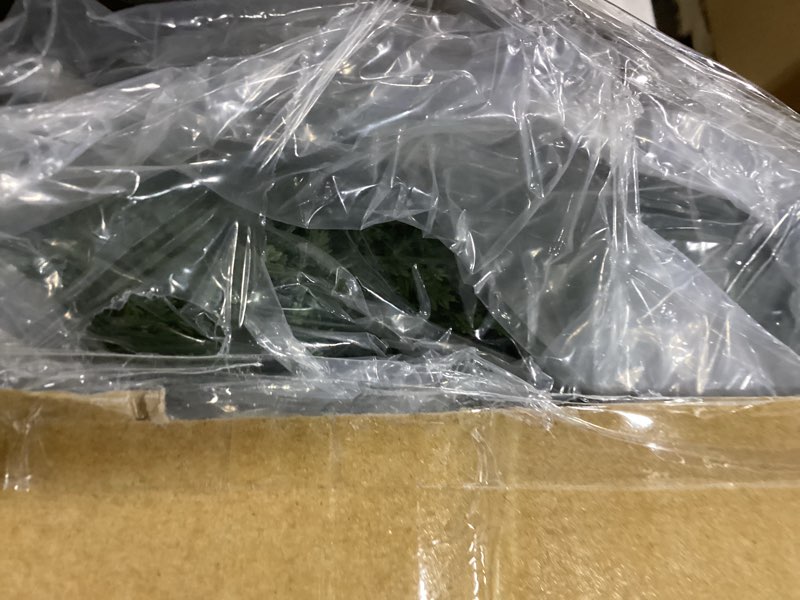 Condition photo showing As Is for 3FT Artificial Cedar Topiary Trees with Ground Spike, Set of 2 UV Resistant Fake Evergreen Bushes Shrubs Trees Artificial Plants Realistic Faux Cypress Plants for Indoor Outdoor Front Porch Garden