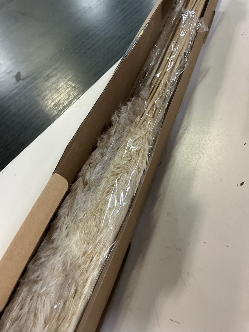 Condition photo showing Good Condition for 35-inch tall white pampas grass bouquet decor - boho flowers and feathers for centerpieces, perfect for tall floor vase fillers, home decor, living room, and wedding decor (20 pcs) 20-tall white