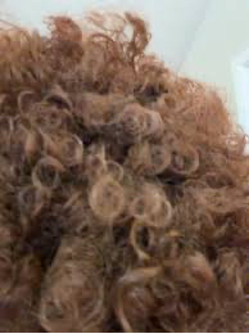 Curly haired wig (similar to stock photo)
