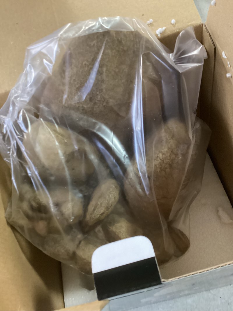 Condition photo showing Good Condition for Exo Terra Reptile Terrarium Rock Outcrops - Small