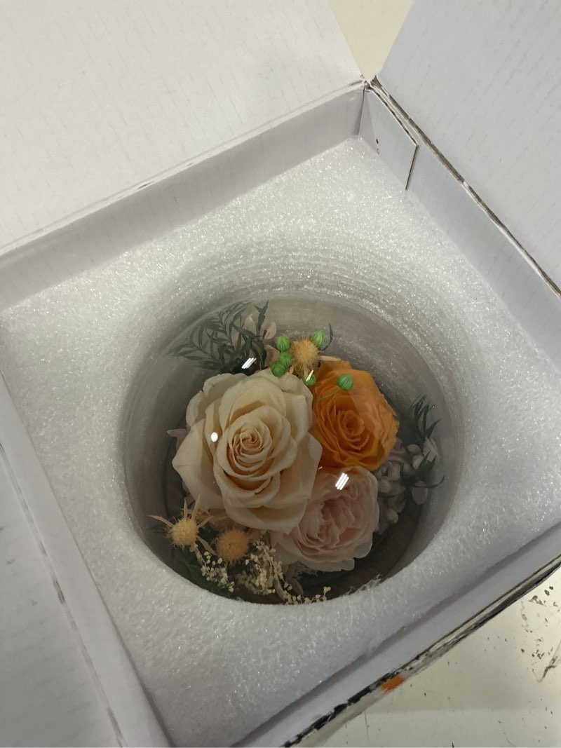 Condition photo showing New/Like New for eternal flowers for decoration: preserved flowers in glass dome, unique forever flowers gift for her bbf – perfect decorative flowers for home décor - flowers for delivery prime (champagne)