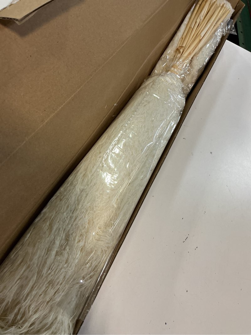 Condition photo showing New/Like New for 30 stems 28" inch large white pampas grass fluffy, boho home decor, natural fluffy pompas grass pampas for living room decor, table decor, boho decor floor, party wedding decor, gift (30 white ) 30pcs white
