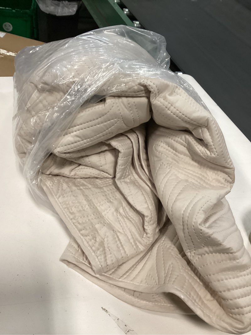 Condition photo showing As Is for (Similar)(Incomplete)Exclusivo Mezcla Queen Quilt Bedding Set, Lightweight Brich Beige Quilts Queen Full Size for All Seasons, Soft Microfiber Bedspreads Coverlets Bed Cover with Leaf Pattern, 3 Piece Brich Beige Queen (90''X96'')