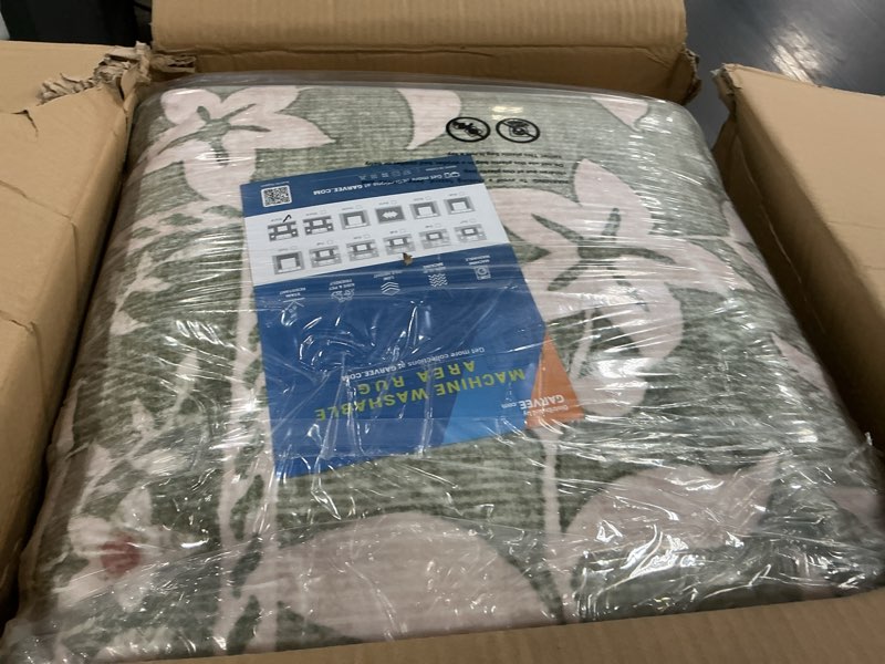 Condition photo showing New/Like New for garveehome area rug sage grove 10' x 14' (rectangular)
