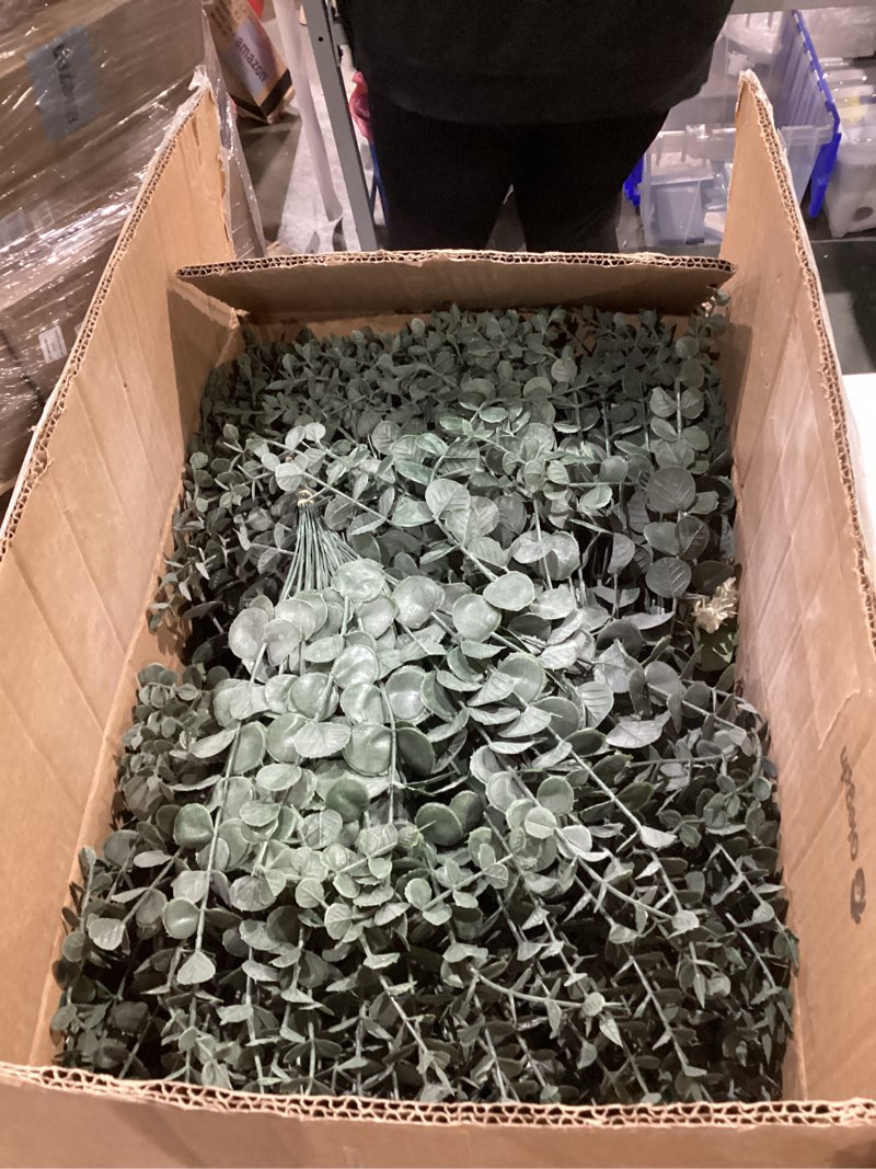 Condition photo showing New/Like New for giegxin 1000 pcs 3 kinds mixed artificial eucalyptus leaves stems bulk silver dollar leaves picks dried eucalyptus bundle faux spray for wedding vase bouquet floral arrangement (green) green 1000